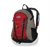 Stylish backpack HI24003