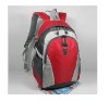 Stylish backpack HI24020