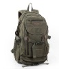 Stylish economic jansport backpacks