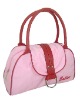 Stylish ladys tote bag for CA7006