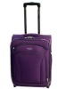 Super Light Purple Cabin Case