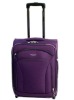 Super Light Purple Cabin Case