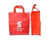 Supermarket shopping bag