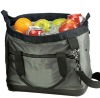 THE COOL ZONE PICNIC OUTDOOR ACTIVITY 12-CAN COOLER BAG