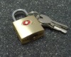 TSA luggage lock