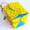 Take Out Box with Handle