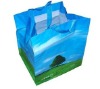 Tear-resistant PP Woven shopping bags