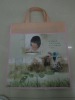 Tectorial laser pocket non woven shopping bags