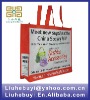 Tectorial laser reusable gift bags study shopping bag