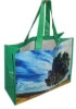 The cheapest price PP non woven handle shopping bag for Africa/mid east market