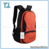 Top quality Leisure travel backpack/school backpack