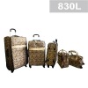 Travel Luggage