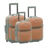 Travel Trolley luggage bag