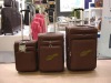 Travel luggage(CT365)