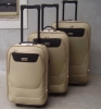 Travel luggage (trolley luggage & trolley case)