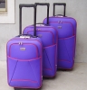 Trolley Case (luggage case & wheel luggage)