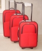 Trolley Case (trolley luggage & travel luggage)