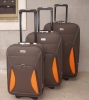 Trolley Case ( trolley luggage & travel luggage)