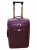 Trolley Luggage Case