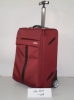 Trolley case