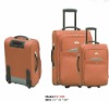Trolley case and luggage