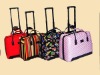 Trolley case/travel case