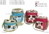 Two Compartment Lunch Box Cooler