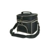 Two Layer Insulated Lunch Cooler Bag