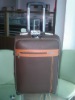 Two Wheels PU Trolley Case