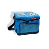 Two bottle Cool bag DT-B1239