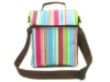 UF-6069 2012 new design lunch cooler bag