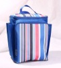 UF6057 Food cooler bag