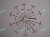Variety Sizes of The T Shpae Straight Pin