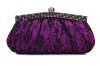 Women Designer Fashion Lace Clutch Handbag