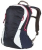 (XHF-BACKPACK-096) adult business laptop backpack