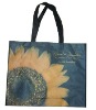 (XHF-SHOPPING-049) eco-friendly non woven grocery bags