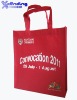 Xcending X-NB163 Non-Woven Printed Shopping Bags