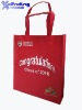 Xcending X-NB164 Non-Woven Cheap Shopping Bag