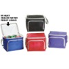 Zipper Pouch Insulated Cooler Bag Good for 6 Cans Soda