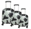 abs/pc rolling luggage, abs/pc trolley luggage