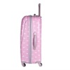 abs pc trolley case