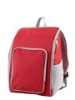 ace cooler bag backpack