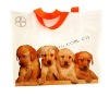 advertising pp woven shopping bag