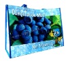 advertising pp woven shopping bag for Mr blueberry