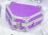 aluminum Beauty case