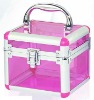 aluminum beauty case