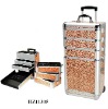 aluminum makeup train case