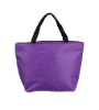 attractive plain coloured polyester cooling bag