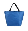 attractive plain coloured polyester cooling bag