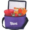 attractive zipper cooler beer bottle lunch bags